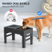Raised Dog Bowls