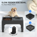 Raised Dog Bowls