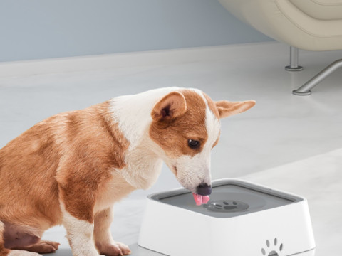 Pet water Bowl-2L