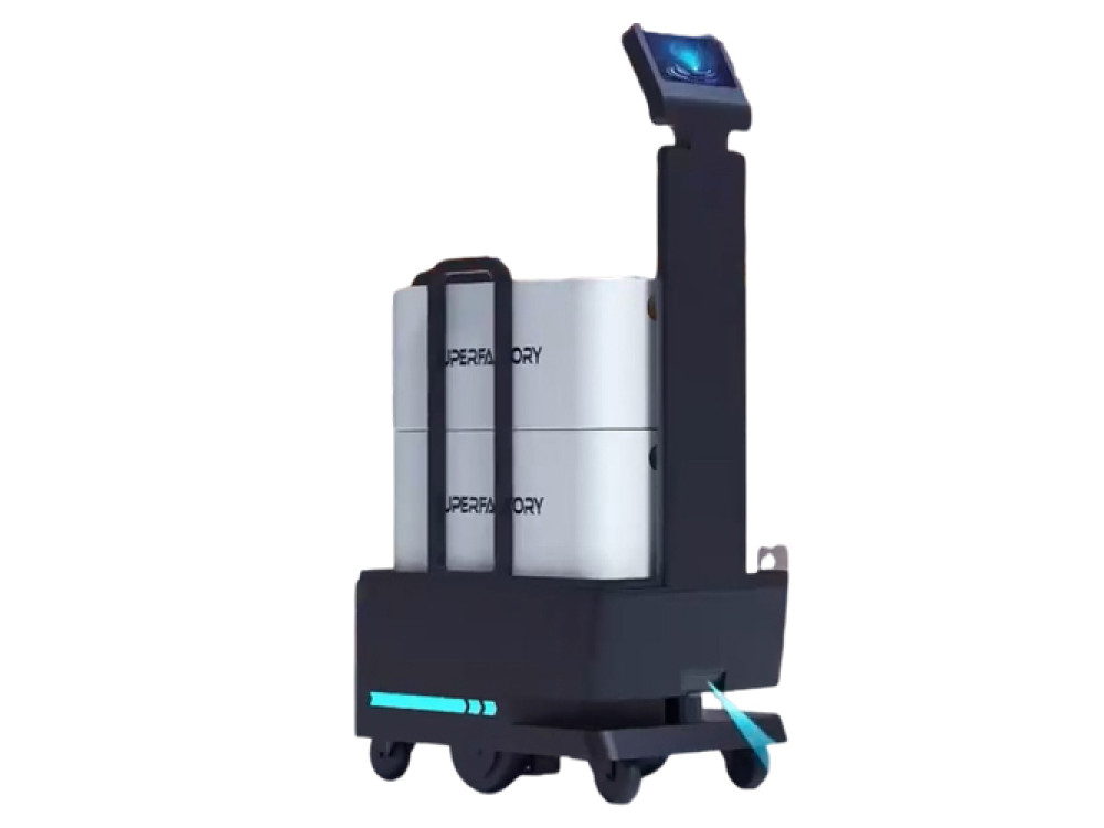 Bigdog Service Robot