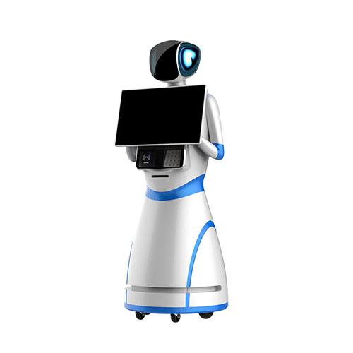 YinYin Service Robot