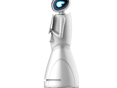 YinYin Service Robot
