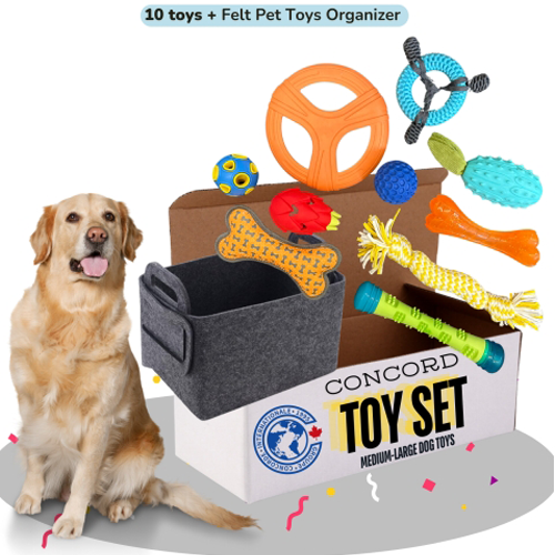 Medium-Large Dog Toys