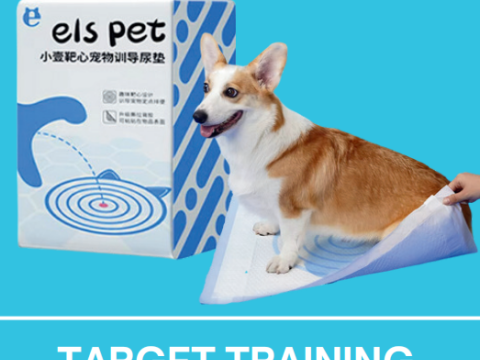 Target Training Pet Diaper, 50/46*60