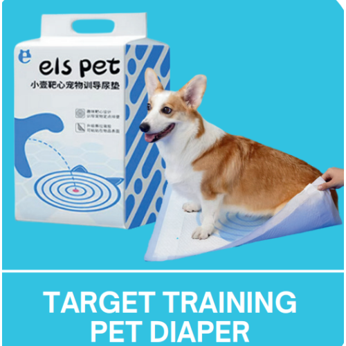 Target Training Pet Diaper, 50/33*45